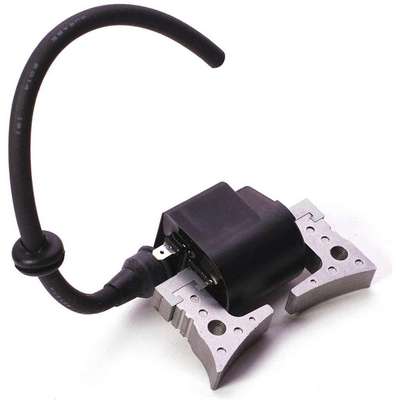 Ignition Coil Cp