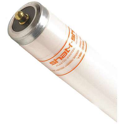 Fluorescent Lamp,T12,Cool