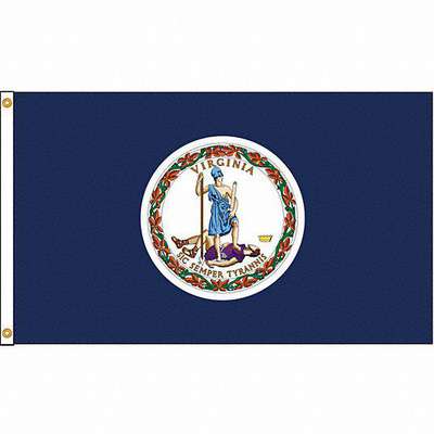 Virginia Flag,4x6 Ft,Nylon