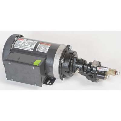 Rotary Pump,125psi,Cast Iron,1-