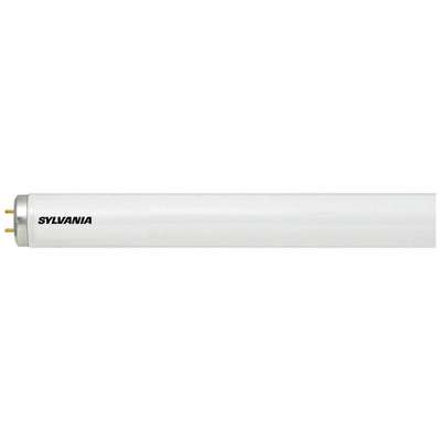 Linear Fluorescent Bulb,40W,