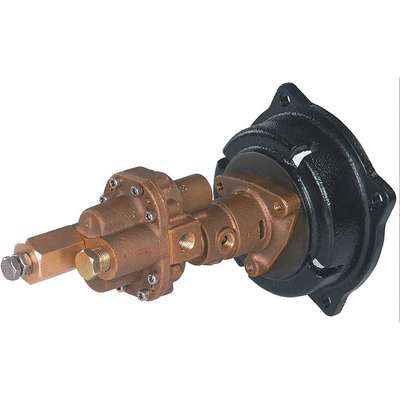 Rotary Gear Pump Head, 1/2 In.,