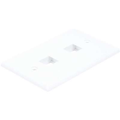 Wallplate,Blank,2 Hole, White