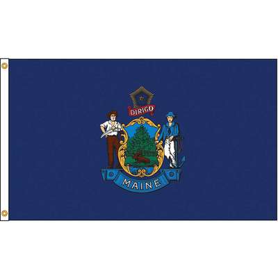 Maine Flag,5x8 Ft,Nylon