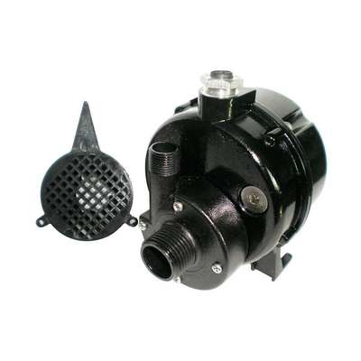 Pump,Submersible, 1/90HP