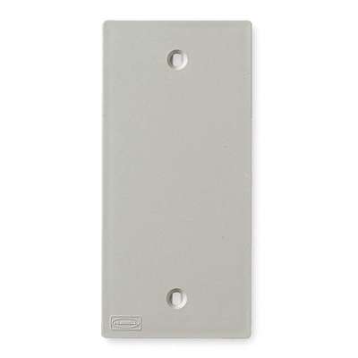 Blank Faceplate,White,Pvc,