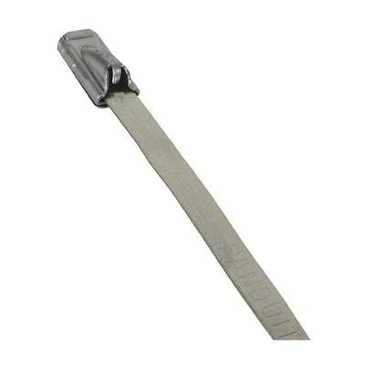 Cable Tie,7.9 In,Silver,PK50