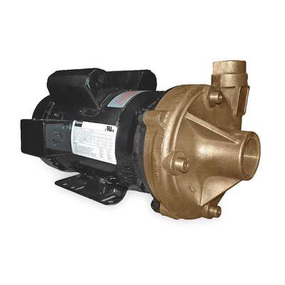 Pump,3 Hp,1 Ph,240VAC