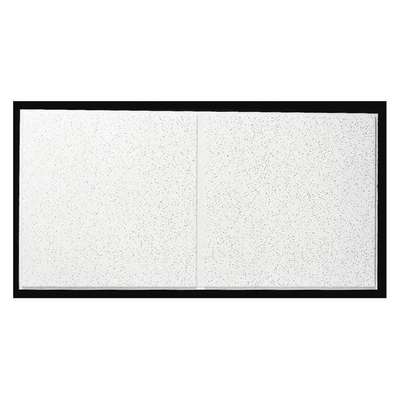 Ceiling Tile,48 In L,24 In W,