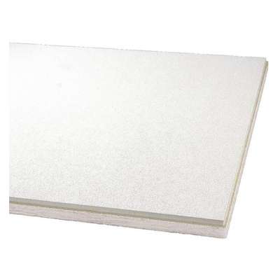 Ceiling Tile,48" W,48" L,1"