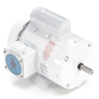 Washdown Motor,1 Hp,1725,56,