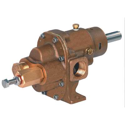 Rotary Gear Pump Head, 3/4 In.,