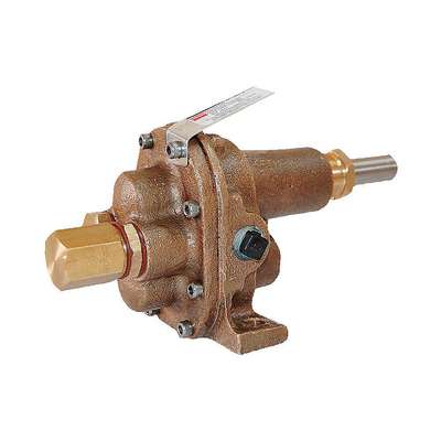 Rotary Gear Pump Head, 3/4 In.,