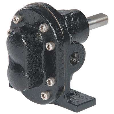 Rotary Gear Pump Head, 1/2 In.,