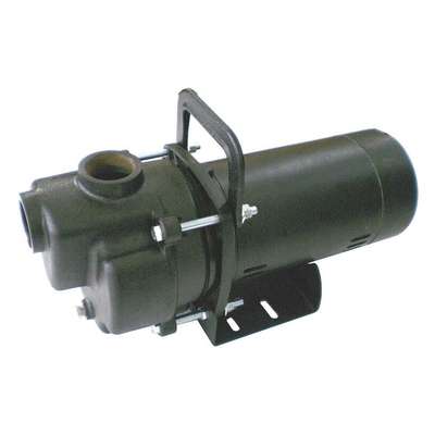 Self Priming Pump,3/4 Hp,Cast