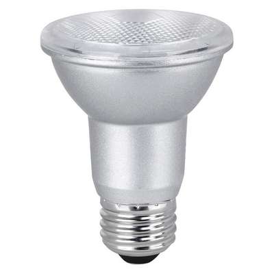 LED Bulb,450 Lm,5W,120VAC,3-1/