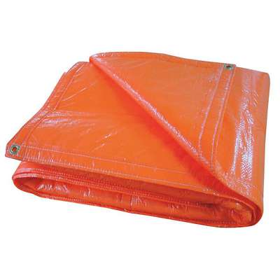 Tarp,Polyethylene,12 Hx20 W Ft,