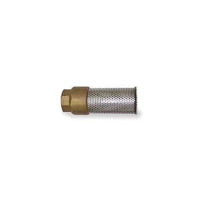 Foot Valve,Spring,Bronze,2"