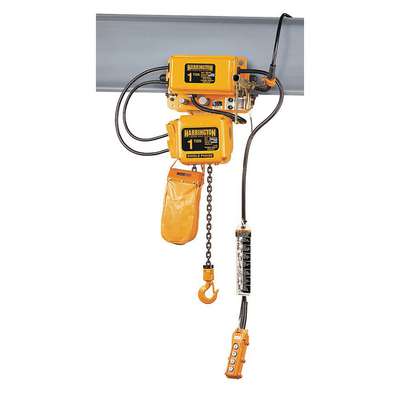 Electric Chain Hoist w/Trolley,