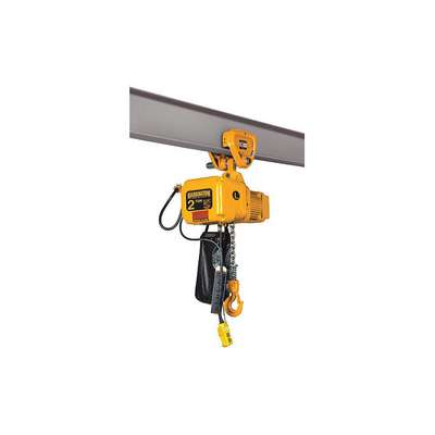 Elec. Chain Hoist w/Trolley,