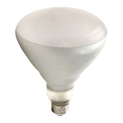 Incandescent Heat Bulb,BR40,