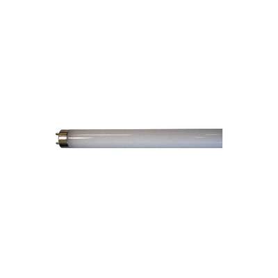 Linear LED Bulb,T8,48" L,G13,