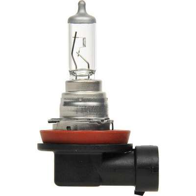 H16 Halogen Headlight Bulb