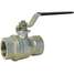 SS Ball Valve, Fnpt, Inline, 1