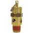 Air Safety Valve 1/4"Inlet 325