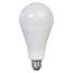 LED Bulb,4060 Lm,33W,120VAC,6-