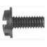 1/4"-20X5/8" Blk License Screw