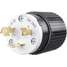 Locking Plug,Black/Wht,250VAC,