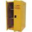 Flammable Safety Cabinet,60