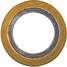 Spiral Wound Metal Gasket,1/2