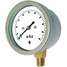 Low Pressure Gauge,Capsule