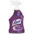 Mold Mildew Remover,32 Oz.,