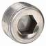 Hex Recessed Head Plug,