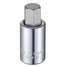 Socket Bit, Steel, 1/2 In,