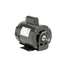 Motor,1/2 Hp,56H,115/230V,Odp,