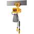 Elec. Chain Hoist w/Trolley,10,