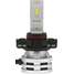 LED Fog Bulb PS24W