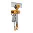 Elec. Chain Hoist w/Trolley,