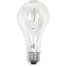 Incandescent Light Bulb,A21,