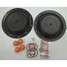 Diaphragm Pump Repair Kit