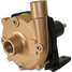 Centrifugal Pump Head,1-1/2 Hp,