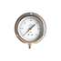 Pressure Gauge,Process,4-1/2 In