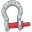 Anchor Shackle,Carbon Steel,24,