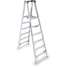 Twin Platform Stepladder,6 Ft,