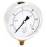 Pressure Gauge,Liquid,4 In.,30