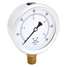 Pressure Gauge,Liquid,4 In.,60